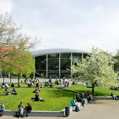Foto des Campus Uni Hamburg. Mehrere Gruppen Studierender sitzen auf Wiesen und unterhalten sich.