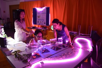 Drei weiblich gelesene Personen schauen sich gespannt vier aufgereihte Plexiglas-Vitrinen an, in denen Molekülmodelle ausgestellt sind.