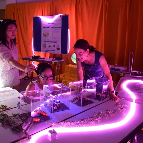 Drei weiblich gelesene Personen schauen sich gespannt vier aufgereihte Plexiglas-Vitrinen an, in denen Molekülmodelle ausgestellt sind.