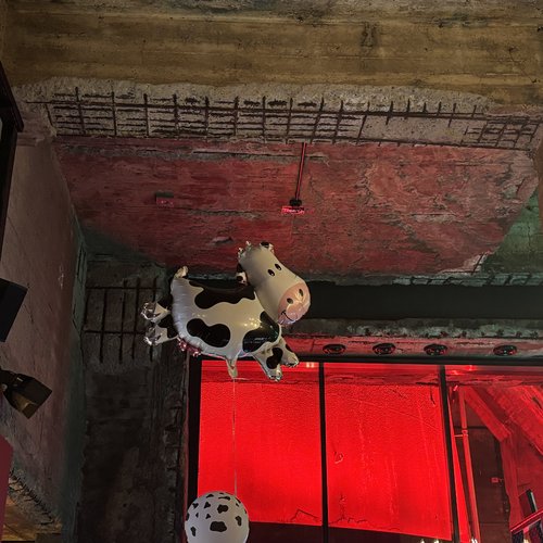 Blick in einen Raum, an der Decke ein Luftballon in Form einer Kuh