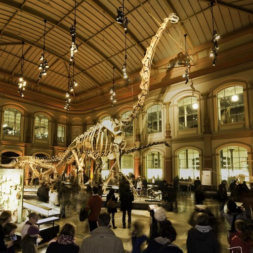 Sauriersaal des Museum für Naturkunde Berlin: Großer Ausstellungsraum mit Menschen und Saurierskelett in der Mitte